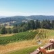 Youngberg Hill | Oregon Wine Guide