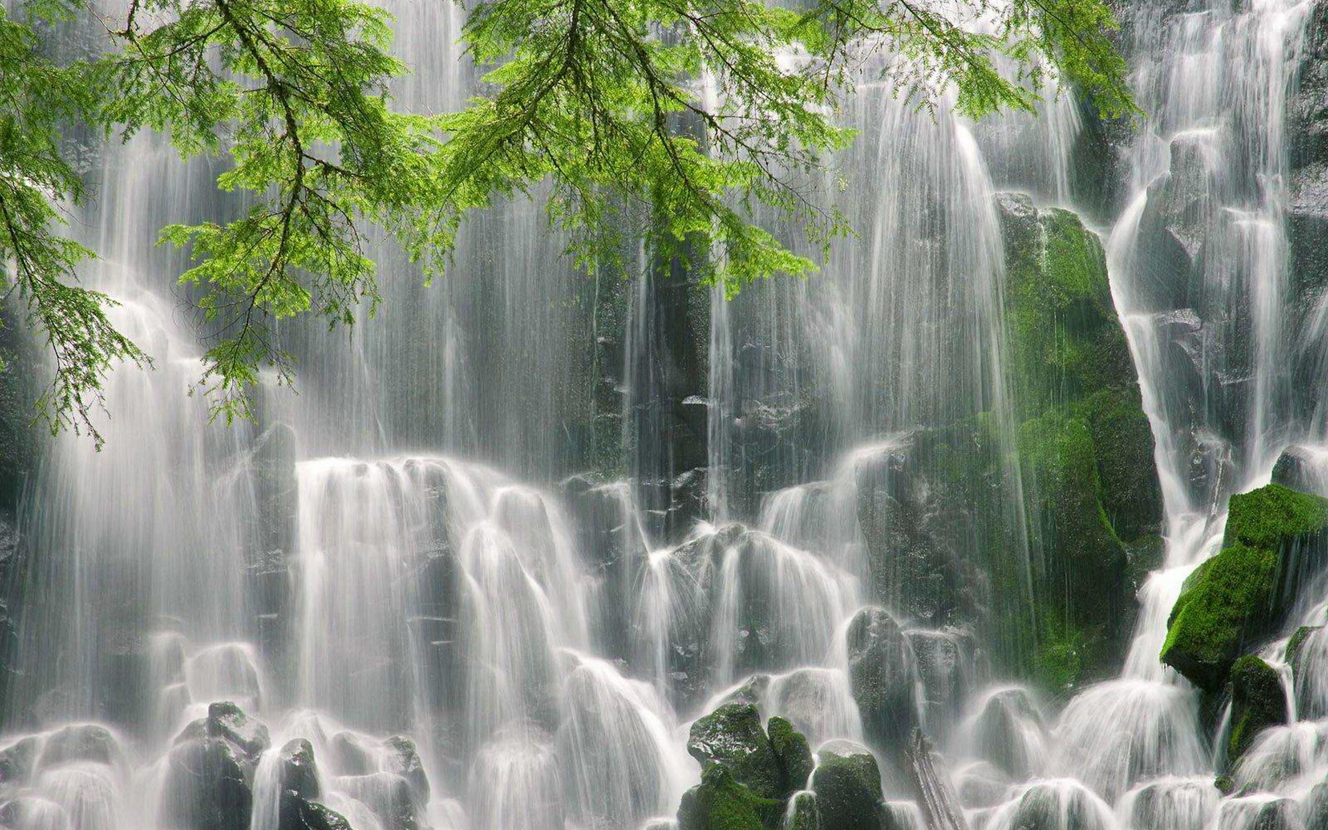 The Best Waterfall Hikes Near Portland Oregon: Ramona Falls