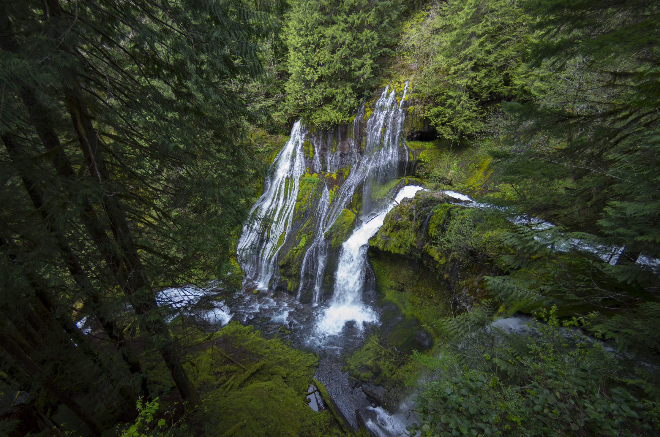 Panther Creek Falls: the best waterfall hikes near portland oregon