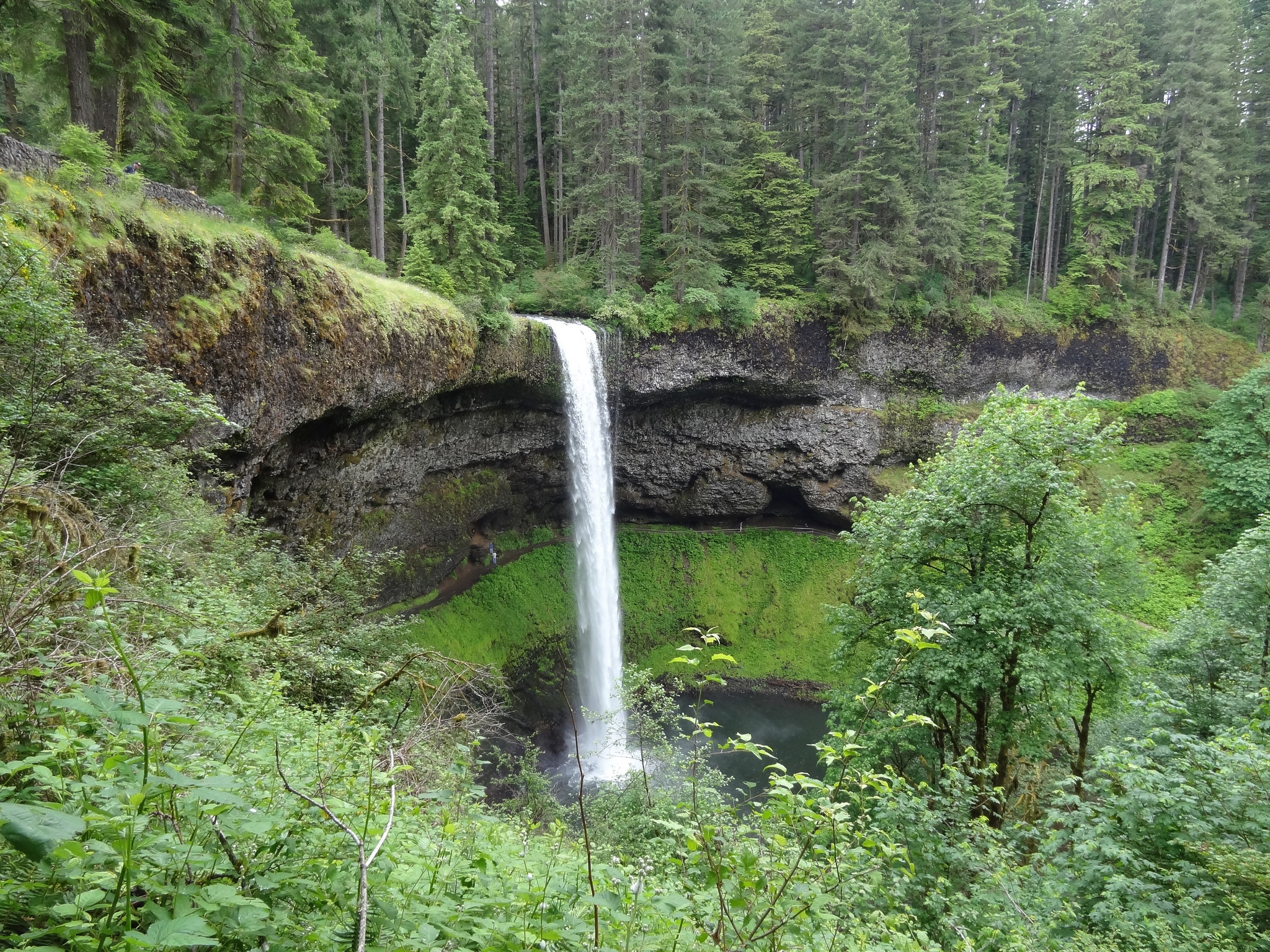 Silver falls: the best waterfall hikes near portland, oregon