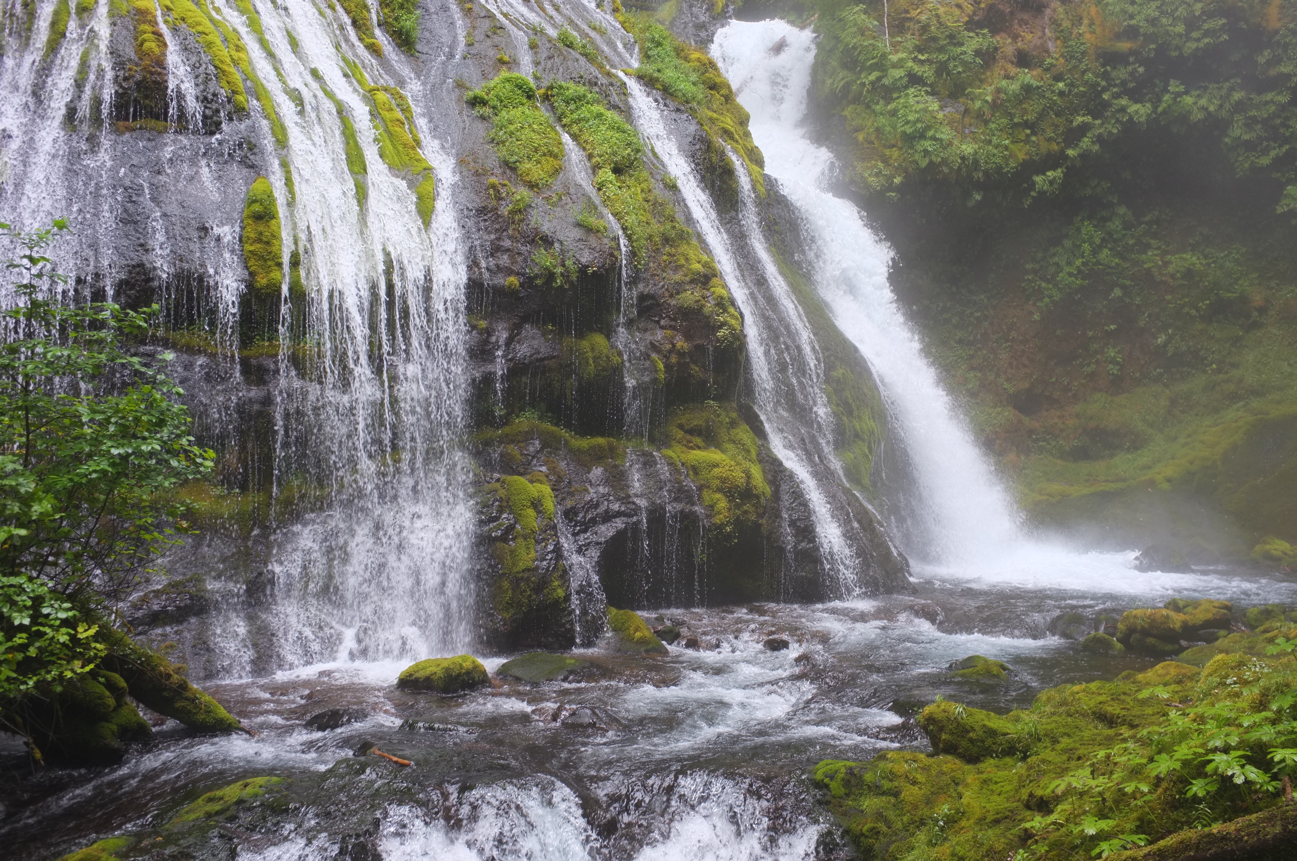 Panther creek falls: the best waterfall hikes near portland oregon