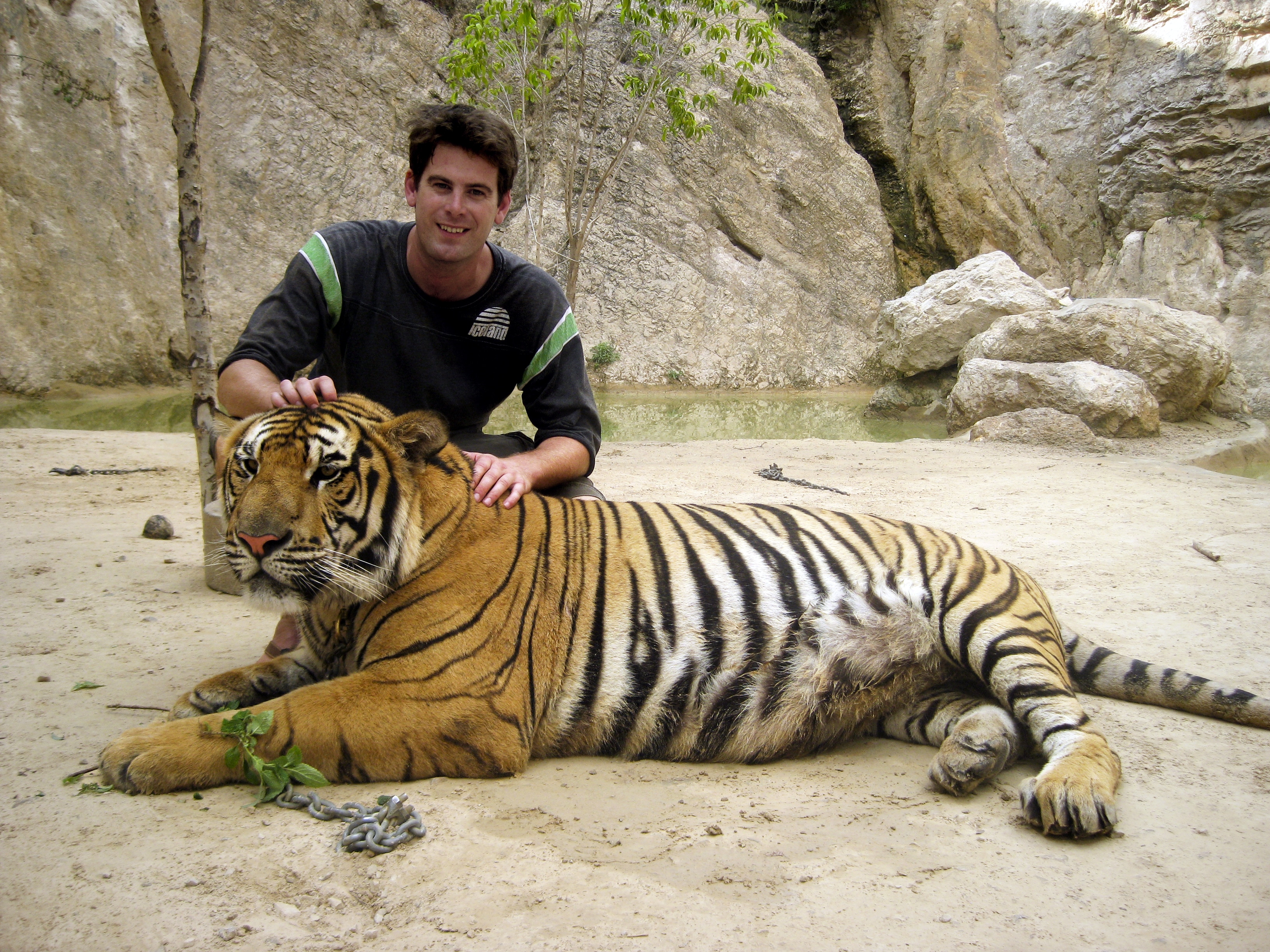 Tiger Selfie - World's Cruelest Tourist Attractions