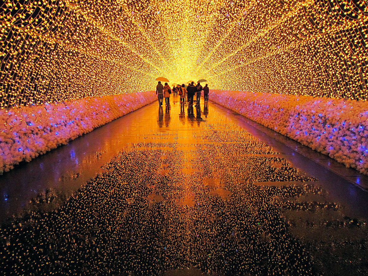 Nabano No Sato Light Festival - 8 Festivals From Around The World To Add To Your Bucket List