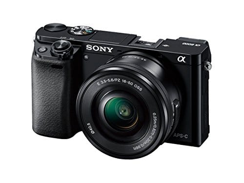 Sony Alpha a600 - The Best Cameras for Travel Bloggers & Travelers