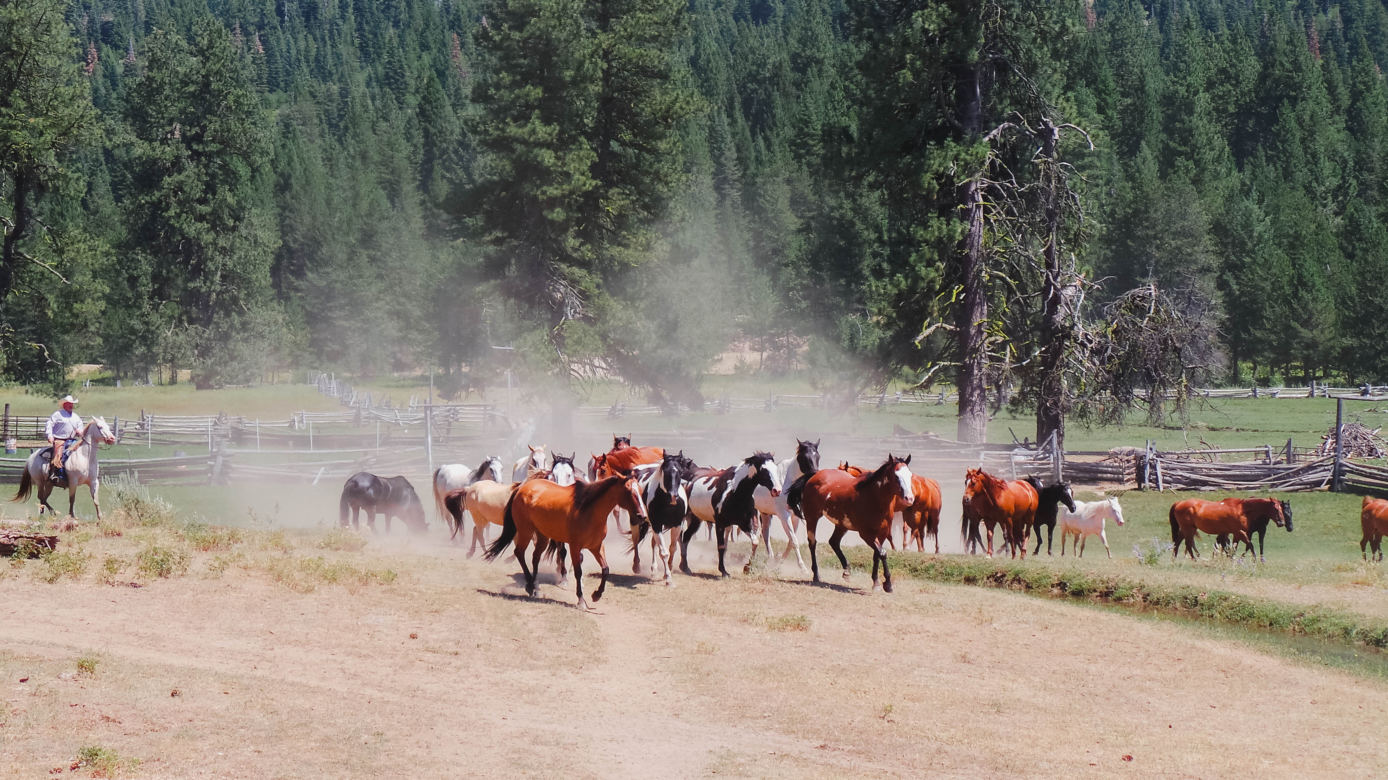 4D Longhorn Guest Ranch, Idaho