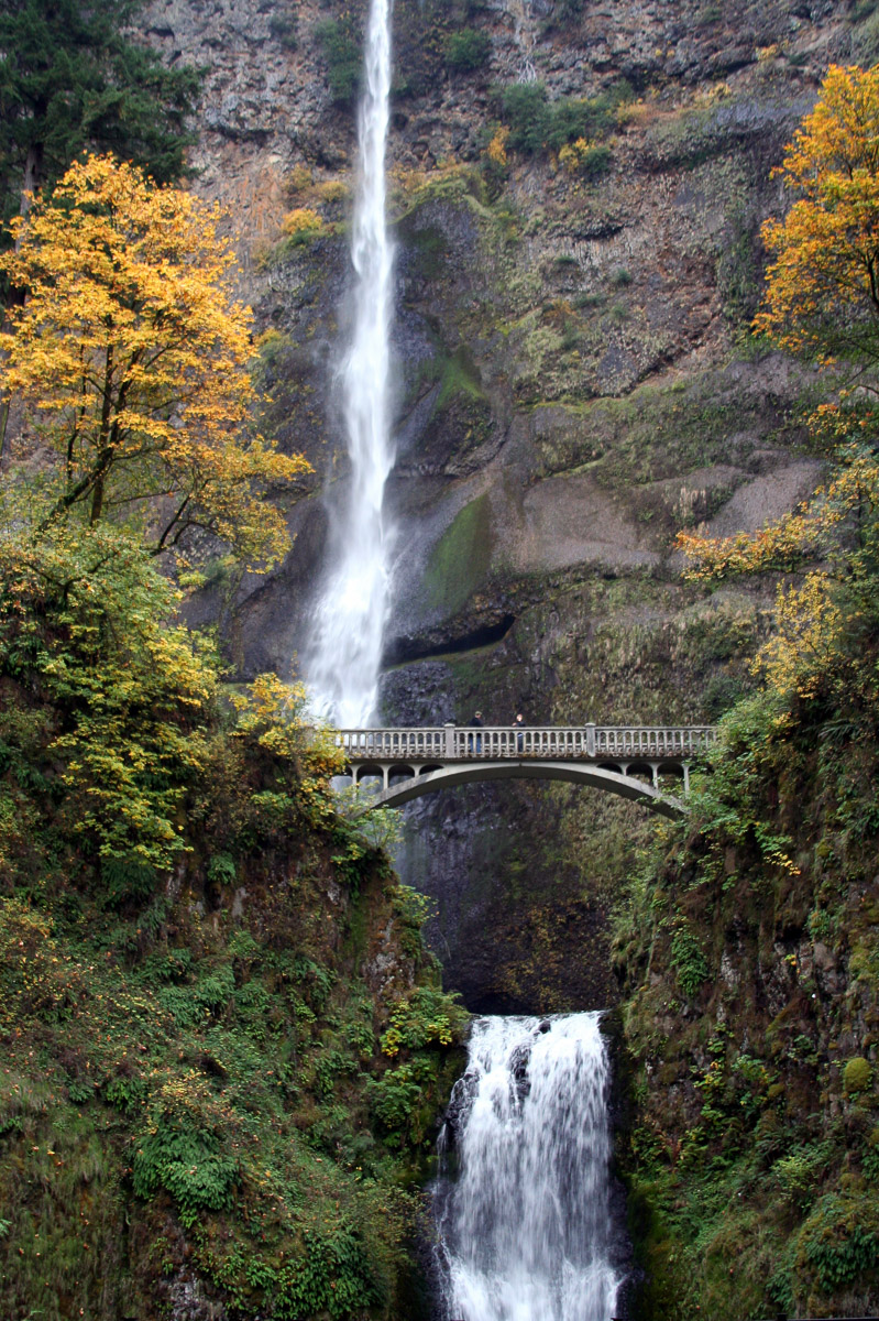 The Best Fall Foliage in the US - Oregon, Pacific Northwest