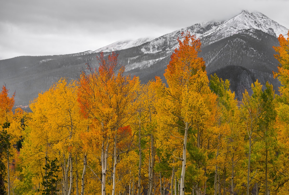 The Best Fall Foliage in the US - Colorado