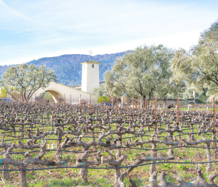 A Weekend in Wine Country: Getaway Guide to Napa Valley