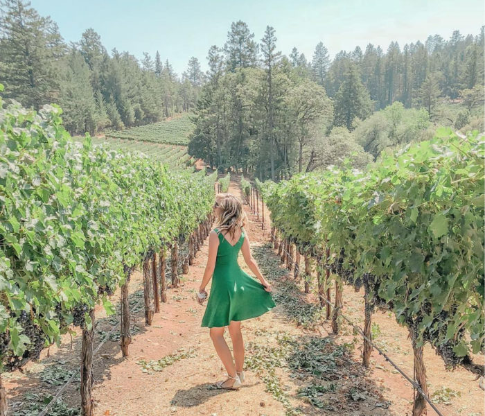 Taking the Road Less Traveled in Napa Valley